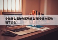 宁波什么是ipfs区块链公司[宁波市区块链专委会]